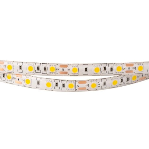 Taśma LED 5050 300 72W 12V IP63 3000K 800lm/1m /5m/