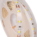 Taśma LED 5050 300 72W 12V IP20 4000K 800lm/1m /5m/