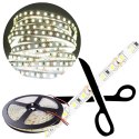 Taśma LED 600 9.6W/m ZIMNA 6500K 600lm/m 12V DC IP20 5m ROLKA