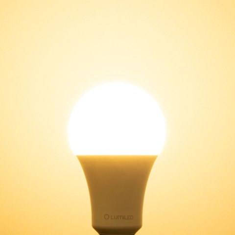 Żarówka LED E27 A80 24W = 200W 3452lm 3000K Ciepła 260° LUMILED Żarówka LED E27 A80 24W = 200W 3452lm 3000K Ciepła 260° LUMILED