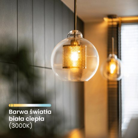 Żarówka LED E27 A60 4W = 60W 840lm 3000K Ciepła 360° Szklana Filament ALS Żarówka LED E27 A60 4W = 60W 840lm 3000K Ciepła 360° Szklana Filament ALS