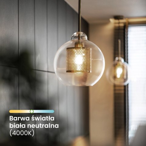 Żarówka LED E27 A60 4W = 60W 840lm 4000K Neutralna Szklana Filament ALS Żarówka LED E27 A60 4W = 60W 840lm 4000K Neutralna Szklana Filament ALS