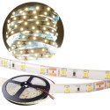 Taśma LED 300 SMD 4.8W/m NEUTRALNA 4000K 300lm/m 12V DC IP63 5m Rolka