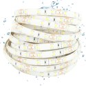 Taśma LED 300 SMD 4.8W/m NEUTRALNA 4000K 300lm/m 12V DC IP63 5m Rolka