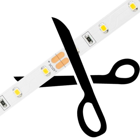 Taśma LED 300 SMD 4.8W/m ZIMNA 6500K 200lm/m 12V IP20 5m Rolka Taśma LED 300 SMD 4.8W/m ZIMNA 6500K 200lm/m 12V IP20 5m Rolka