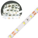 Taśma LED 300 SMD 4.8W/m ZIMNA 6500K 200lm/m 12V IP20 5m Rolka