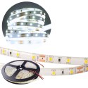 Taśma LED 300 SMD 4.8W/m ZIMNA 6500K 300lm/m 12V DC IP63 5m Rolka