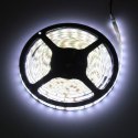 Taśma LED 300 SMD 4.8W/m ZIMNA 6500K 300lm/m 12V DC IP63 5m Rolka